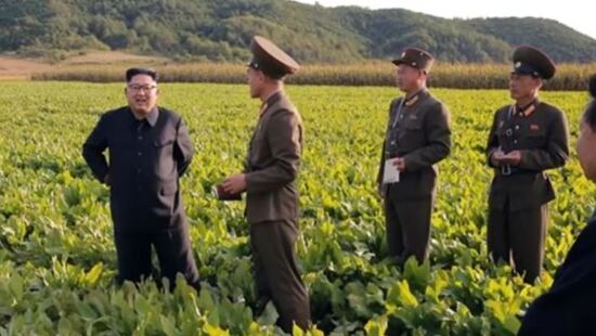 Korei Północnej grozi głód podobny do tego z połowy lat 90, gdy zmarło 3 mln ludzi?