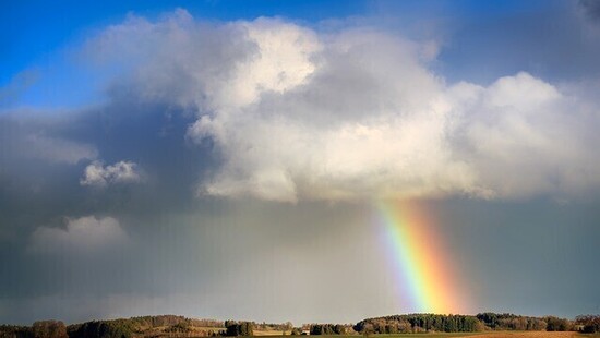 W najbliższym tygodniu cieplej i deszczowo, pojawią się również burze. Miejscami spadnie ponad 50-100 litrów wody
