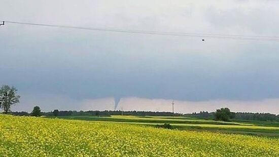 Trąba powietrzna w gminie Wojciechów na Lubelszczyźnie